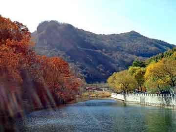 新澳天天彩免费资料大全查询，巫峡棺山